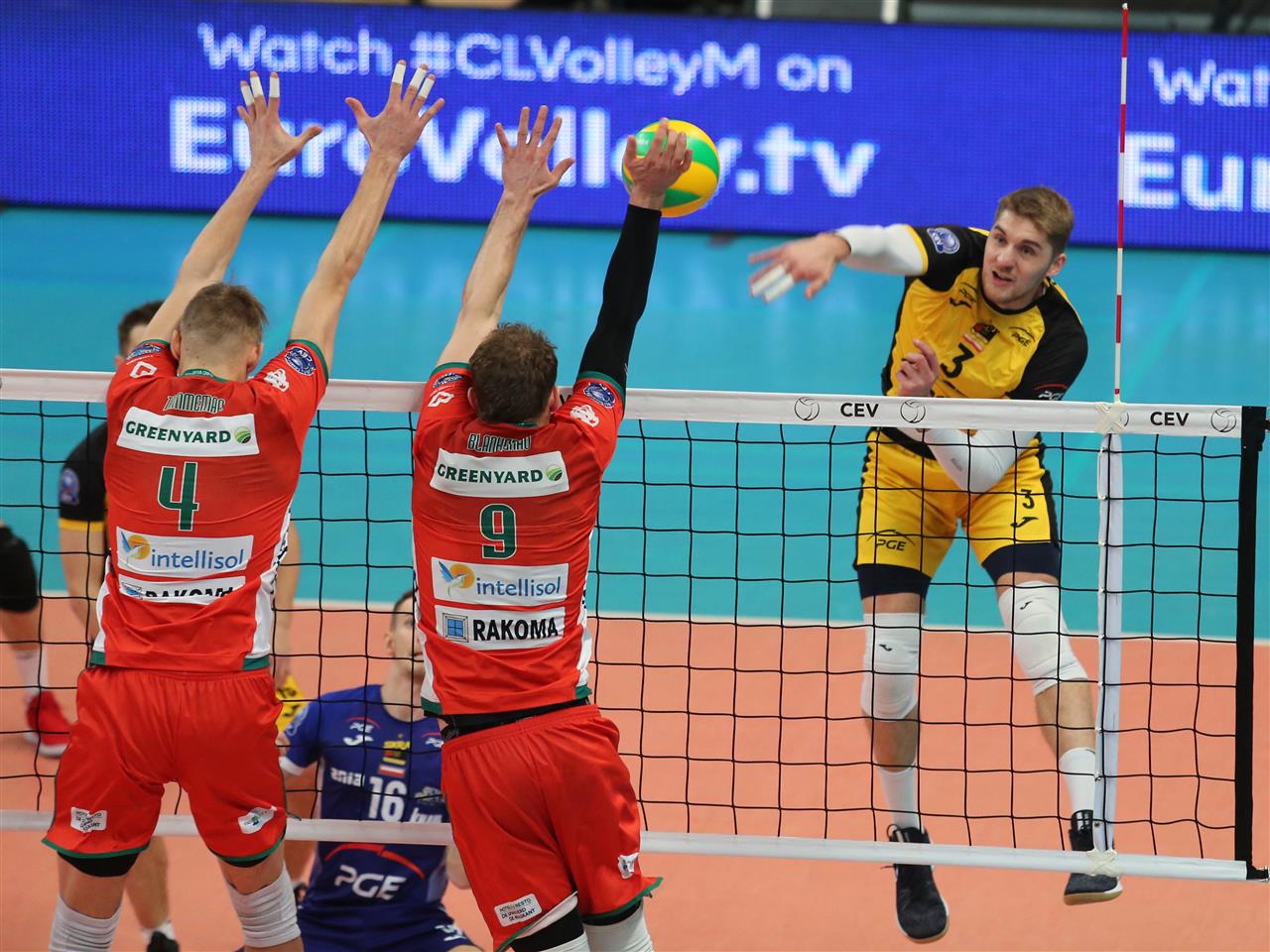 Liga Mistrzów: PGE Skra Bełchatów - Greenyard Maaseik 2:3