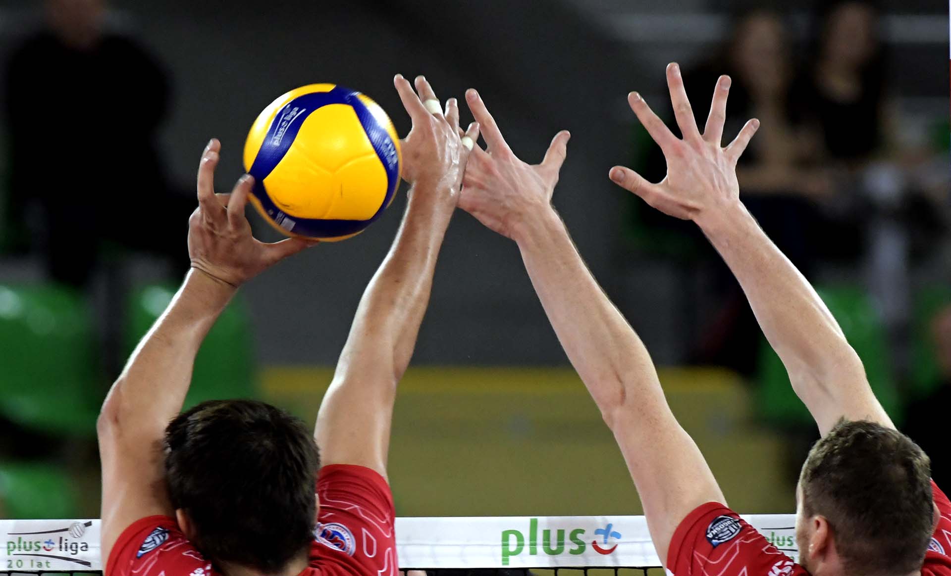 LSK i PlusLiga awansem