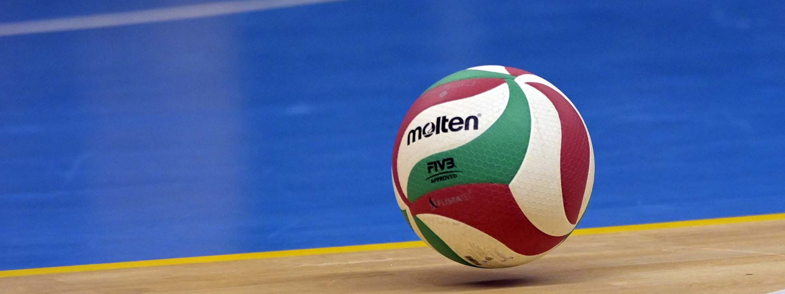 Akademia Siatkarska Pro Volley Londyn rozpoczyna rekrutację.