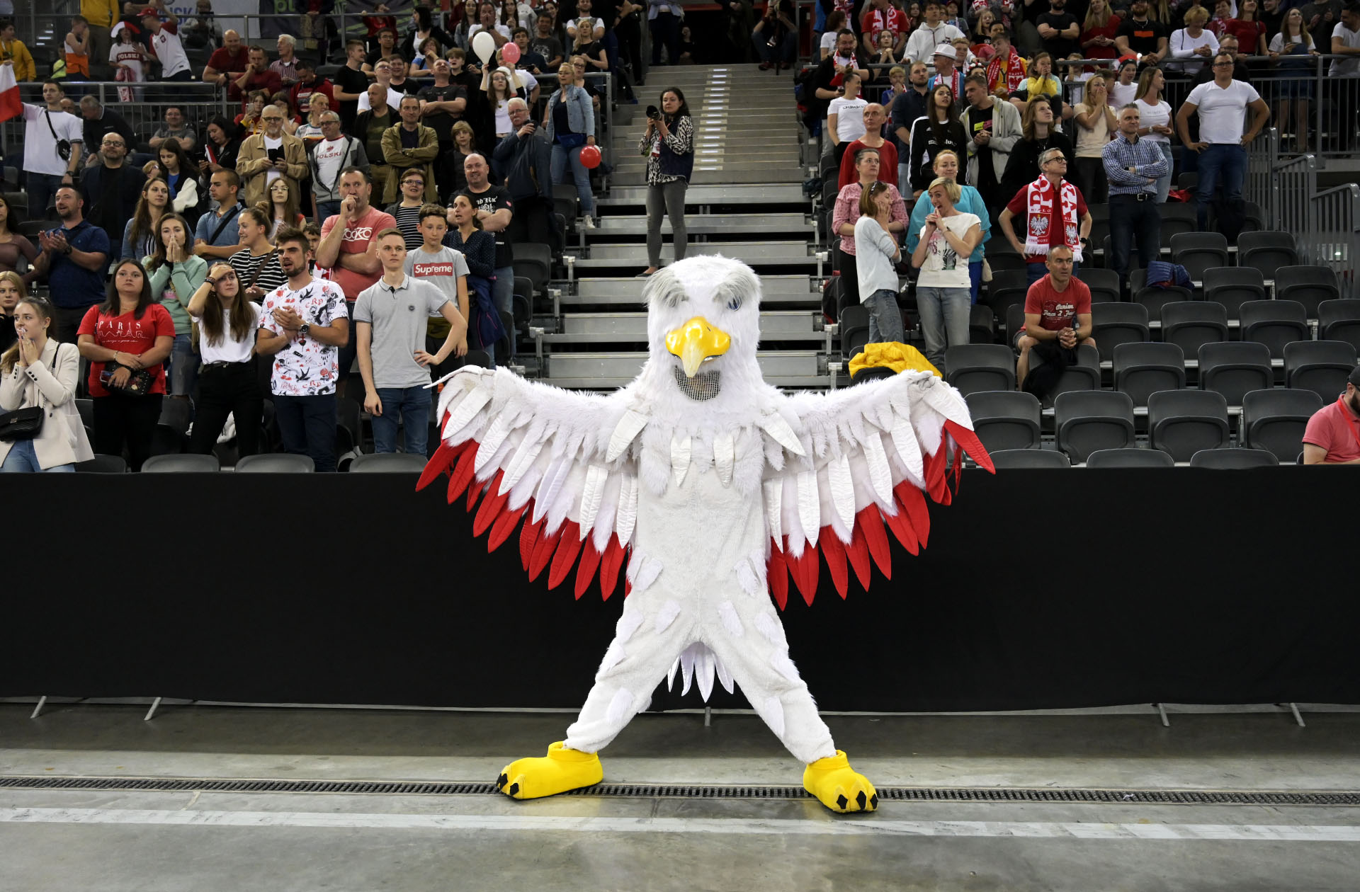 Polska - Francja 3:0 w meczu siatkarek