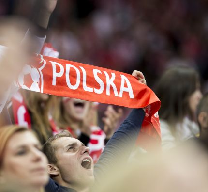 Kibice Polskiej Siatkówki
