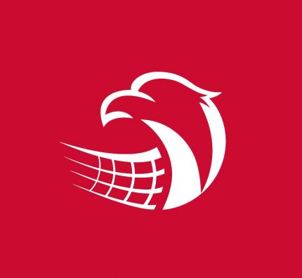 Komunikat Wydziału Rozgrywek PZPS dotyczący zakończenia sezonu 2019/2020 w I lidze kobiet, II lidze kobiet, II lidze mężczyzn